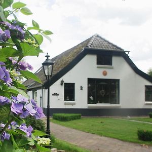 Bed and Breakfast Bed&Breakfast 'T Eikeltje Hollandscheveld Exterior photo