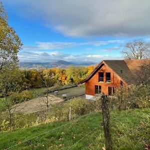 Апартаменты Wunderschoenes Gaestehaus Mit Grandioser Aussicht Gempen Exterior photo