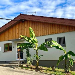 Отель Pension Am Hohberghof Dielheim Exterior photo