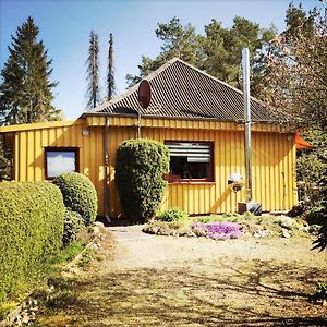 Вилла Gelbes Haus Bei Mardorf Am Steinhuder Meer Rehburg-Loccum Exterior photo