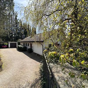 Private Spacious Villa Near Winterberg And Willingen 14 Guests Huge Garden Free Parking For Multiple Cars Ольсберг Exterior photo