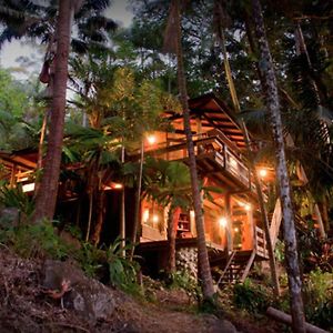 Вилла Currumbin Rainforest Treehouse Currumbin Valley Exterior photo