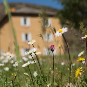 Bed and Breakfast Lou Prat Мейрей Exterior photo