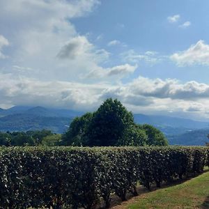 Апартаменты Monfaucon Vue Sur Les Pyrenees Pouzac Exterior photo