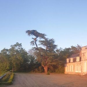 Bed and Breakfast Chateau De Colliers Мюид-сюр-Луар Exterior photo