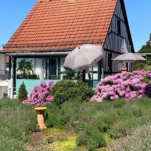 Вилла Ferienhaus Mit Sauna, Wintergarten Und Terrasse Im Schoenen Hochtaunus Гласхюттен Exterior photo