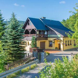 Отель Pension Am Zechengrund Курорт Обервизенталь Exterior photo