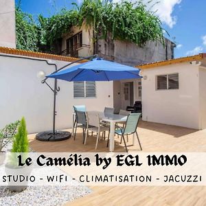 Апартаменты Le Camelia - Gite "Terre Et Truffes" Ламантен Exterior photo