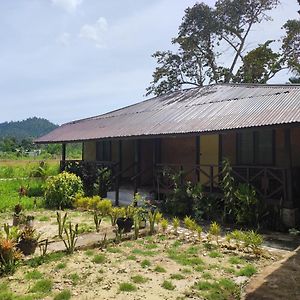 Отель Nelmann'S Nipa Huts Сан-Висенте Exterior photo