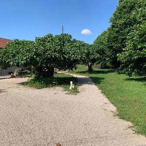 Вилла Gite La Longere Bleue Caylus Exterior photo