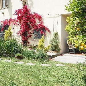 Bed and Breakfast Il Giardino Пенне Exterior photo