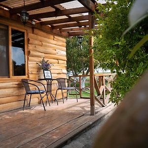 Вилла Charming Cabin Surrounded By Nature Текпан Exterior photo