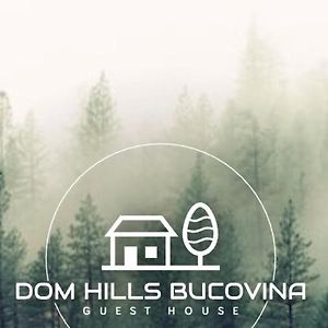Отель Dom Hills Bucovina Гура-Гуморулуй Exterior photo