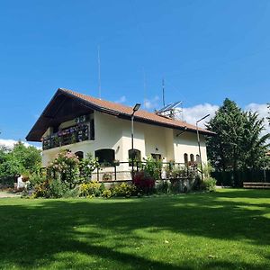 Villa Janet Долна-Баня Exterior photo