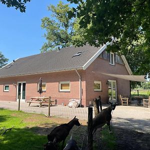 Boerderij Appartement De Casterie Bornerbroek Exterior photo