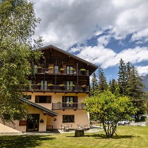 Alpine Forest Hotel Камполук Exterior photo