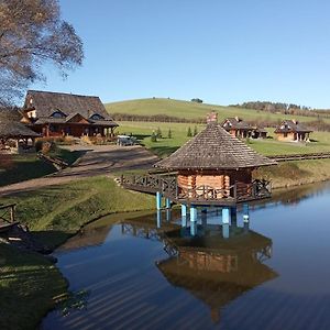 Отель Sokolisko - Pensjonat Agroturystyczny Wysoczany Exterior photo