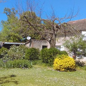 Вилла Les Glycines Saint-Pierre-de-Buzet Exterior photo