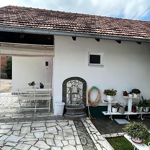 Отель Smestaj Pejcic Kovanluk Exterior photo