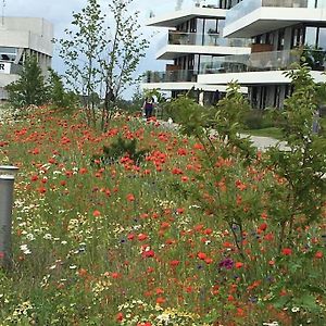 Апартаменты Bo Med Stil Og Udsigt Til Aarhus Lystbadehavn Exterior photo