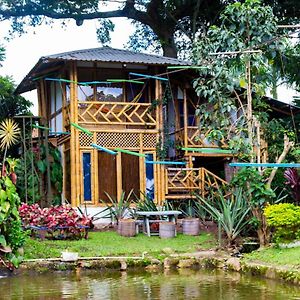 Отель Casa Del Arbol, Romantico, Piscina, En Chinauta, El Mejor Clima El Michu Exterior photo