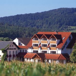 Отель Wagners Fraenkischer Hof Altenkunstadt Exterior photo