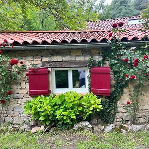 Bed and Breakfast Chambre En Bordure D'Aveyron Сент-Антонен Exterior photo