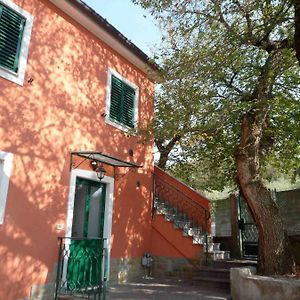 Bed and Breakfast Ai 2 Olmi - Monolocali Nel Verde Муджа Exterior photo