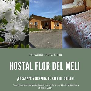 Bed and Breakfast Hostal Flor Del Meli Далькауэ Exterior photo