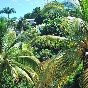 Апартаменты La Dicossine - La Guadeloupe Au Naturel ;) Лез-Абим Exterior photo