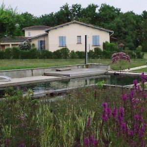 Отель La Maison De Lestang Montbeton Exterior photo