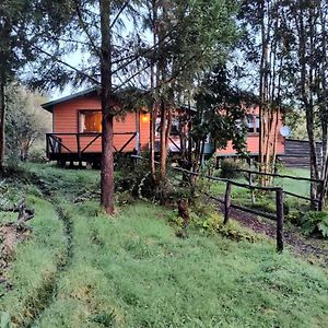 Гостевой дом Casa O Habitacion En Carretera Austral Пуэрто-Монт Exterior photo