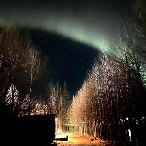 Апартаменты Audkula Dome Cabin Хелла Exterior photo