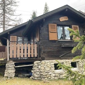 Вилла Entire Cozy Chalet In St-Cergue - 30 Min From Geneva Сен-Серг Exterior photo