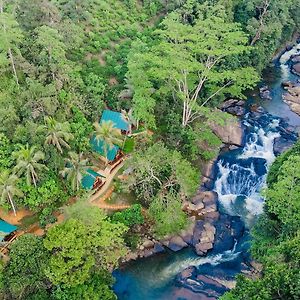 The Rainforest Hideaway Денияйя Exterior photo