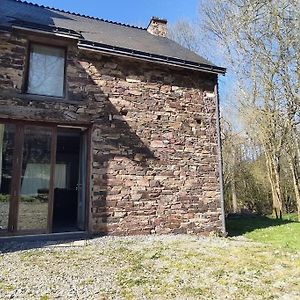 Вилла Petite Maison Tranquille Campagne - Nature Bains-sur-Oust Exterior photo