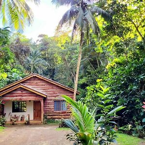 Ecoscape Jamaica - Cottages By The River Очо-Риос Exterior photo