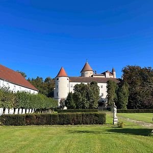 Вилла Charming Castle In Austria Schwertberg Exterior photo