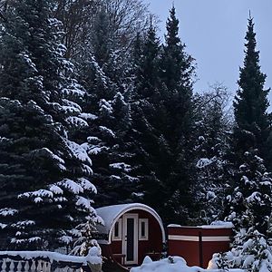 Вилла Gaestehaus Gaens - Ferienhaus Schirgiswalde-Kirschau Exterior photo