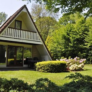 Отель Summio Bungalowpark Het Hart Van Drenthe Zwiggelte Exterior photo