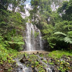 Отель Nimbin Waterfall Retreat Exterior photo