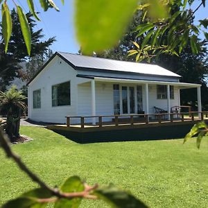 Kereru Cottage Кайкоура Exterior photo