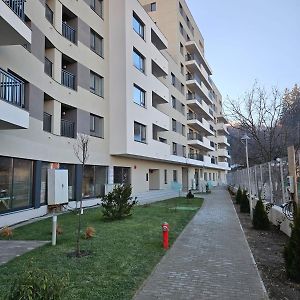 Апартаменты Garsoniera Gabrielle Брашов Exterior photo