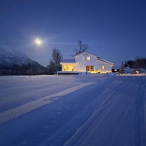 Mountainside Lodge - Breivikeidet Тромсё Exterior photo