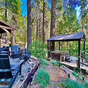Вилла Cabin In The Trees - Hot Tub Pollock Pines Exterior photo