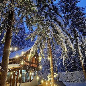 Вилла Misha'S House Порумбаку-де-Сус Exterior photo