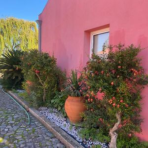 Гостевой дом Casa Das Jardas Иданья-а-Нова Exterior photo