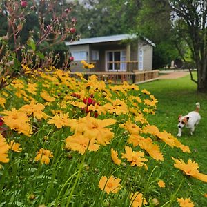 Tsitsikamma Garden Chalets Стормсривер Exterior photo