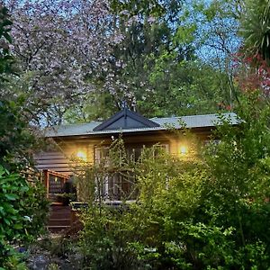 Mountain Cottage In Dandenong Ranges Маунт-Данденонг Exterior photo