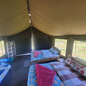 Апартаменты Mara Wildlife Camp Sekenani Exterior photo